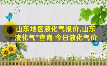 山东地区液化气报价,山东液化气*
查询 今日液化气价